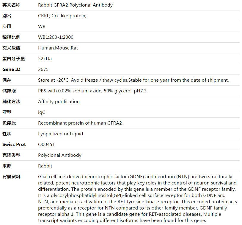 GFRA2 Antibody,索莱宝,K003539P-100ul