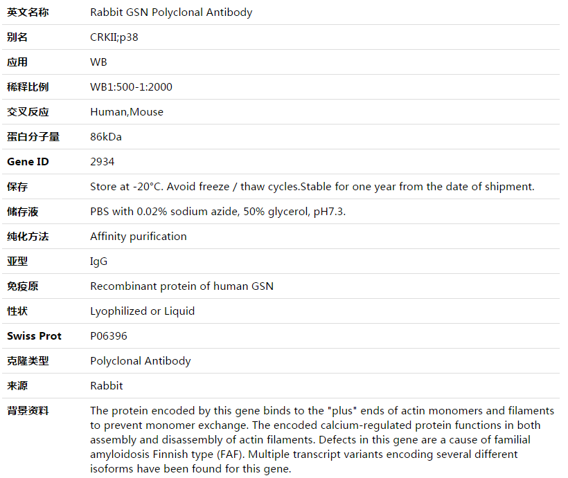 GSN Antibody,索莱宝,K003538P-50ul