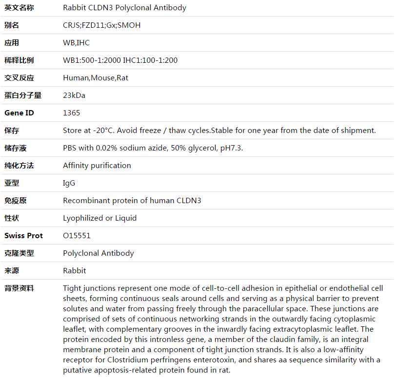 CLDN3 Antibody,索莱宝,K003536P-50ul