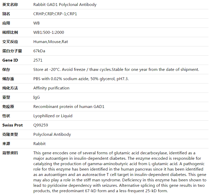 GAD1 Antibody,索莱宝,K003534P-100ul