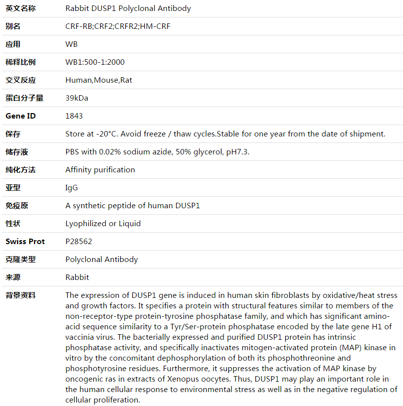 DUSP1 Antibody,索莱宝,K003533P-100ul
