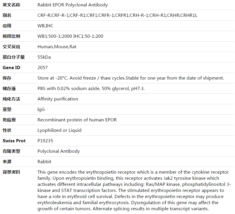 EPOR Antibody,索莱宝,K003532P-30ul