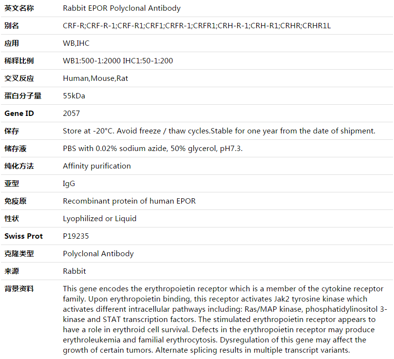 EPOR Antibody,索莱宝,K003532P-100ul