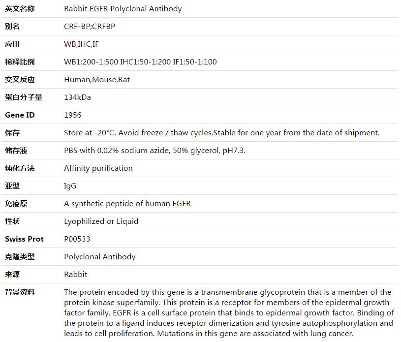 EGFR Antibody,索莱宝,K003530P-100ul