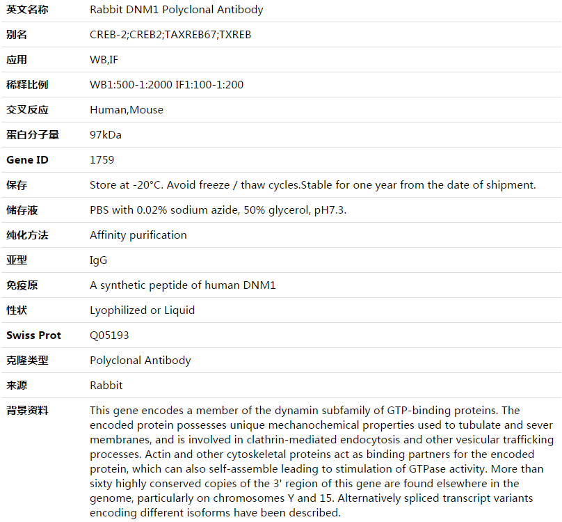 DNM1 Antibody,索莱宝,K003526P-50ul