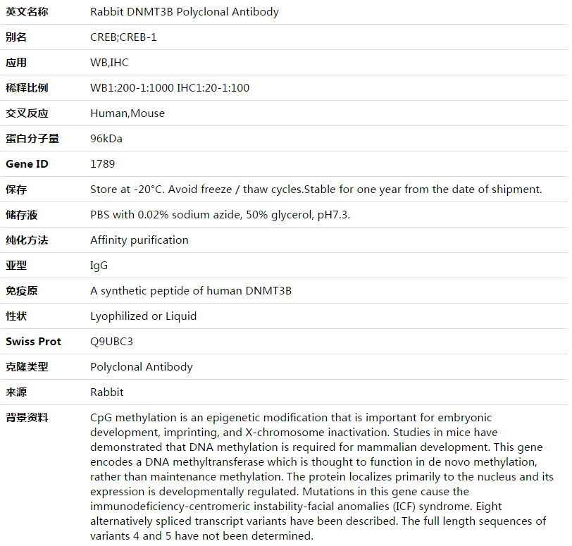 DNMT3B Antibody,索莱宝,K003525P-30ul