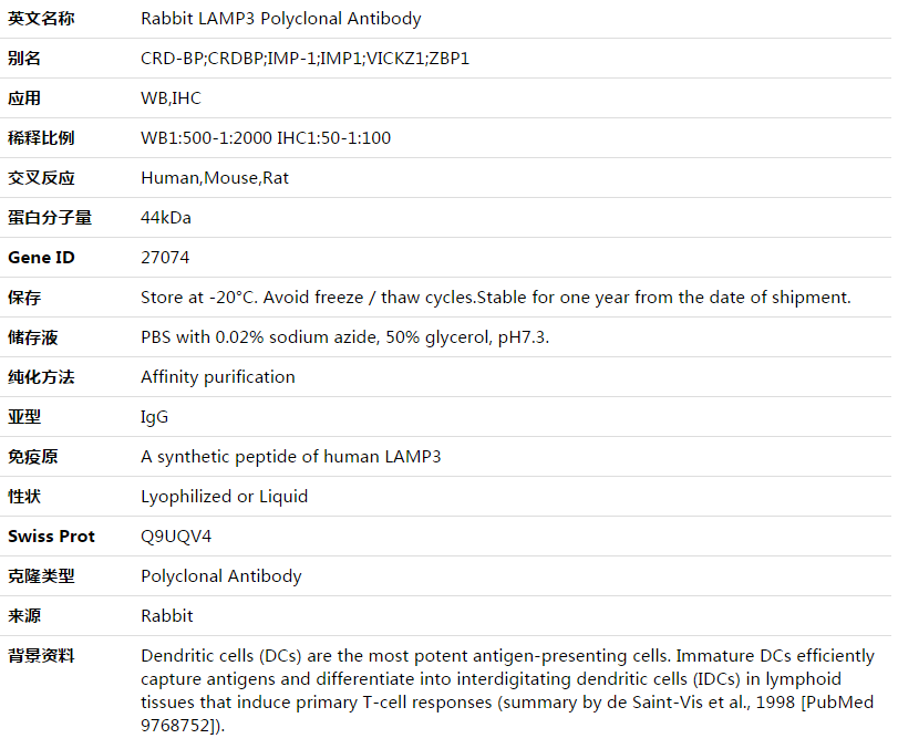 LAMP3 Antibody,索莱宝,K003522P-50ul