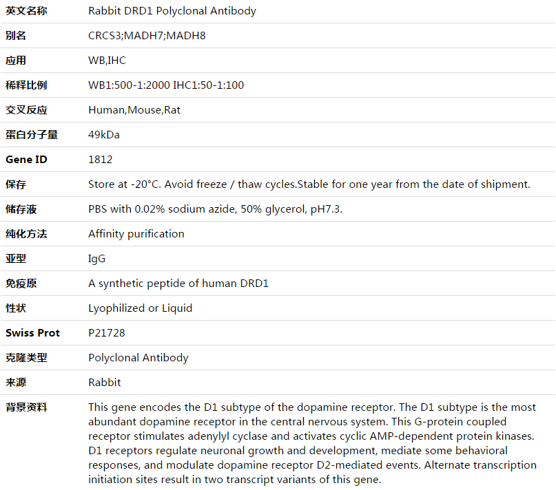 DRD1 Antibody,索莱宝,K003521P-100ul