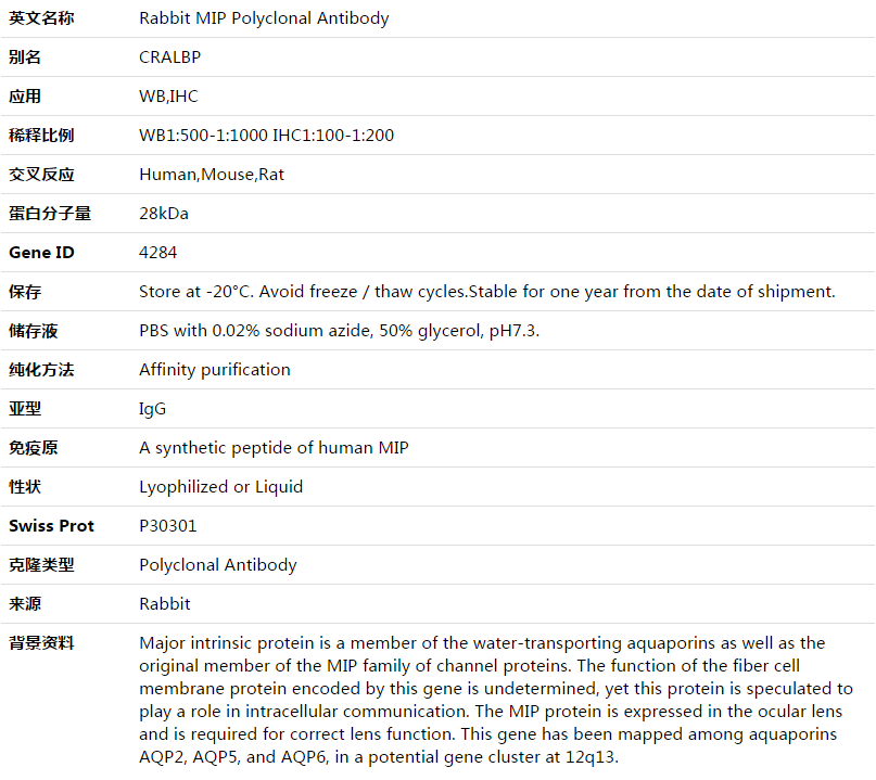 MIP Antibody,索莱宝,K003518P-50ul