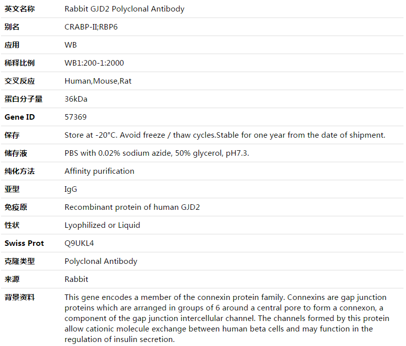 GJD2 Antibody,索莱宝,K003517P-50ul
