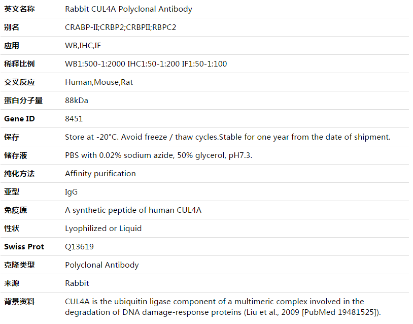 CUL4A Antibody,索莱宝,K003516P-30ul