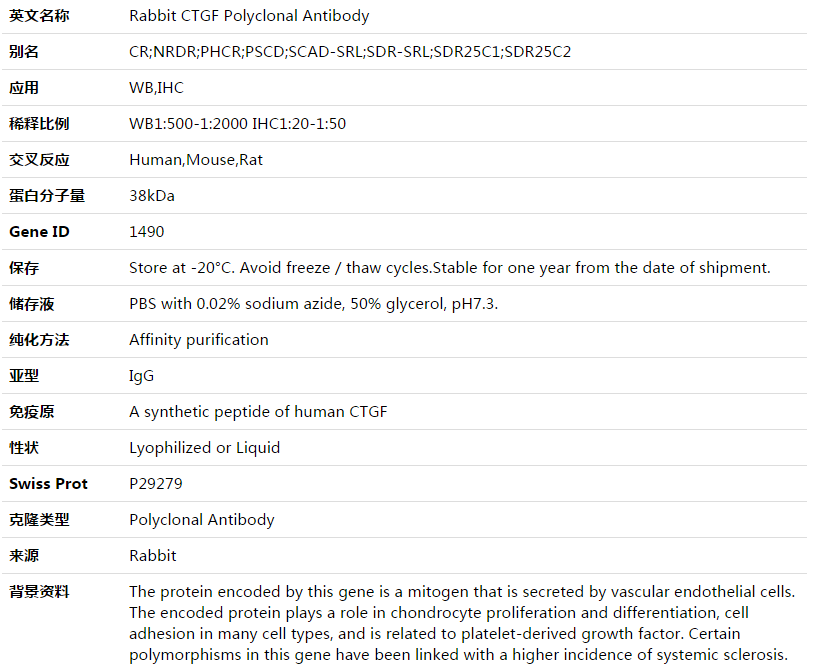 CTGF Antibody,索莱宝,K003515P-30ul