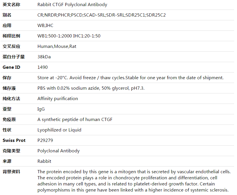 CTGF Antibody,索莱宝,K003515P-50ul