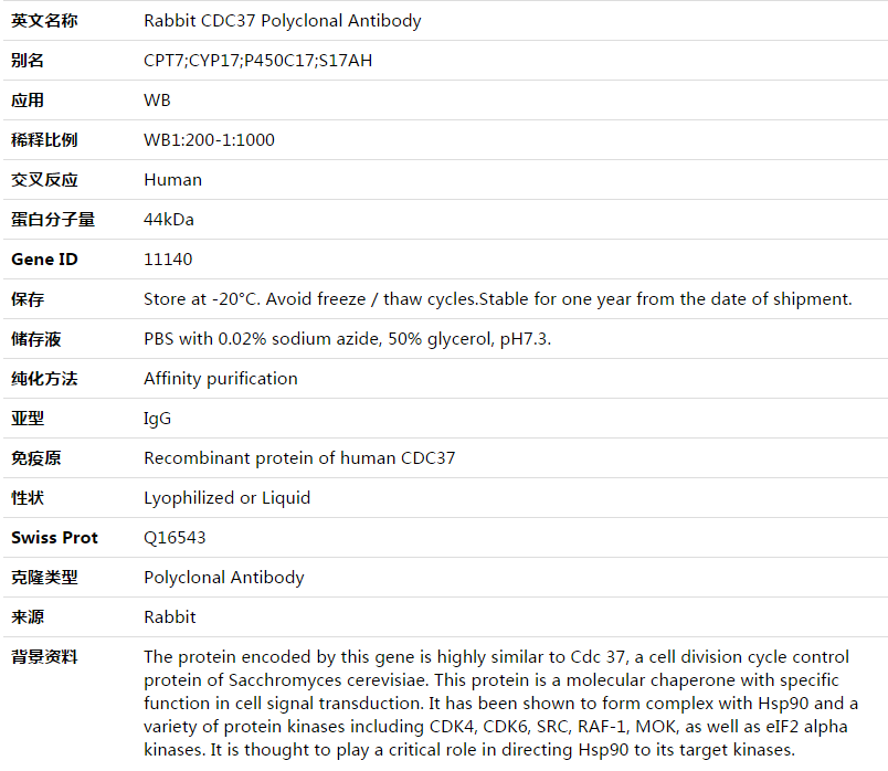 CDC37 Antibody,索莱宝,K003510P-100ul
