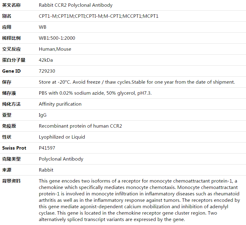 CCR2 Antibody,索莱宝,K003509P-100ul