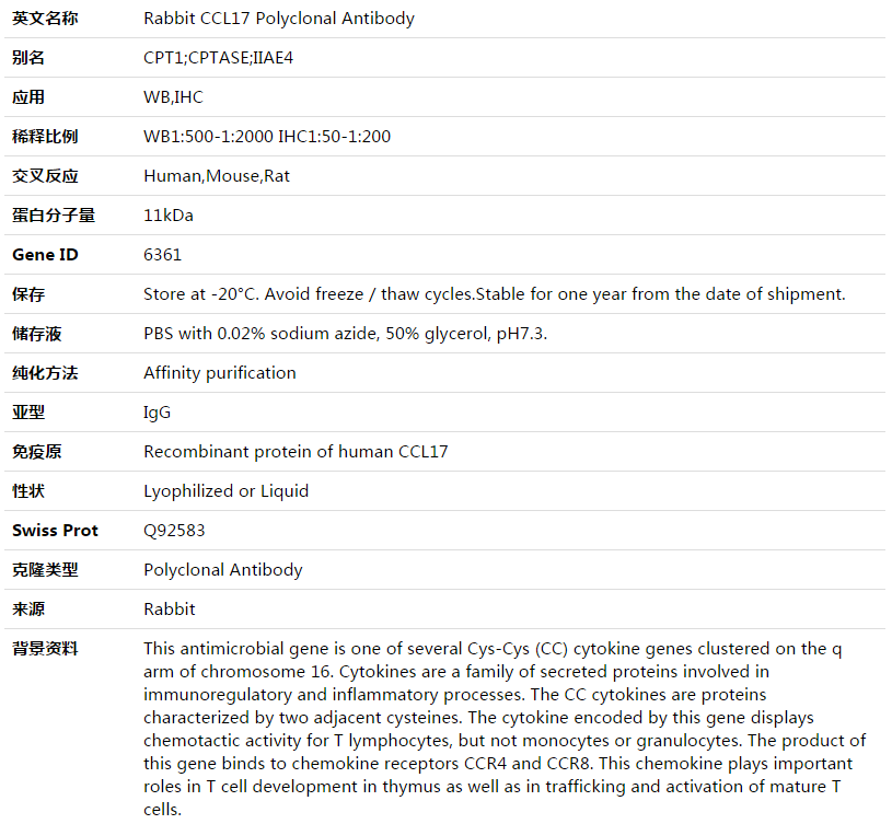 CCL17 Antibody,索莱宝,K003508P-50ul