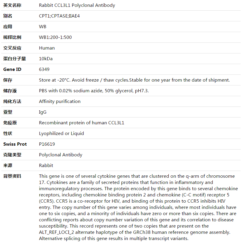 CCL3L1 Antibody,索莱宝,K003507P-50ul