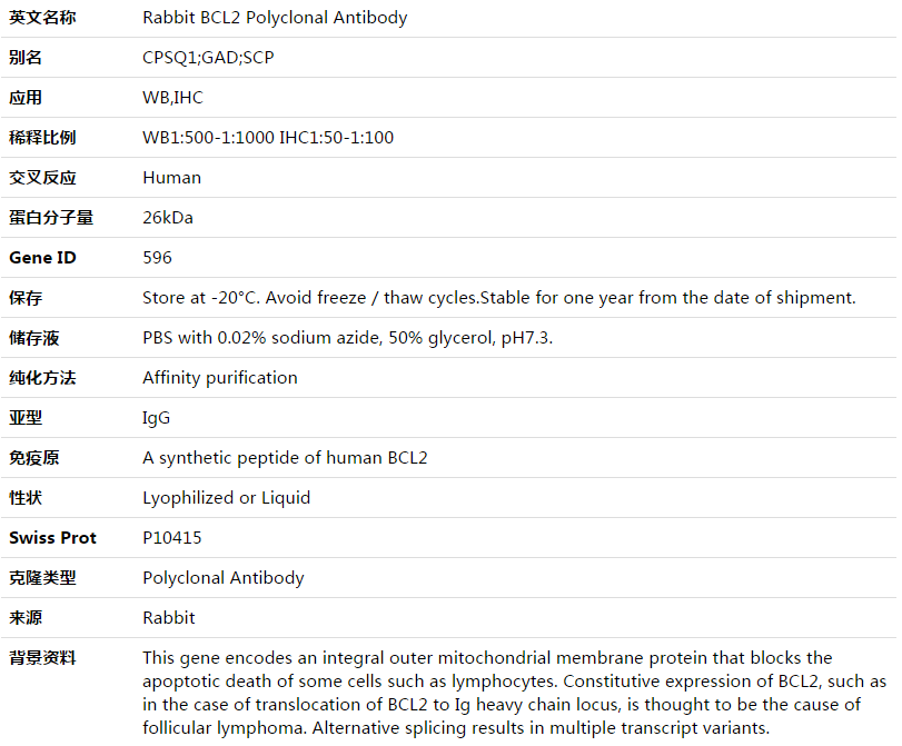 BCL2 Antibody,索莱宝,K003505P-100ul