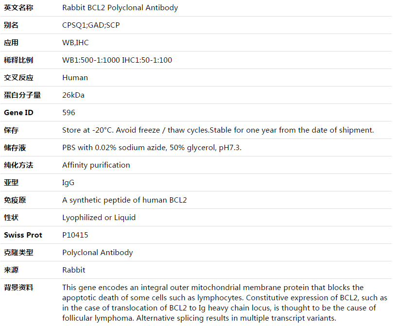BCL2 Antibody,索莱宝,K003505P-50ul