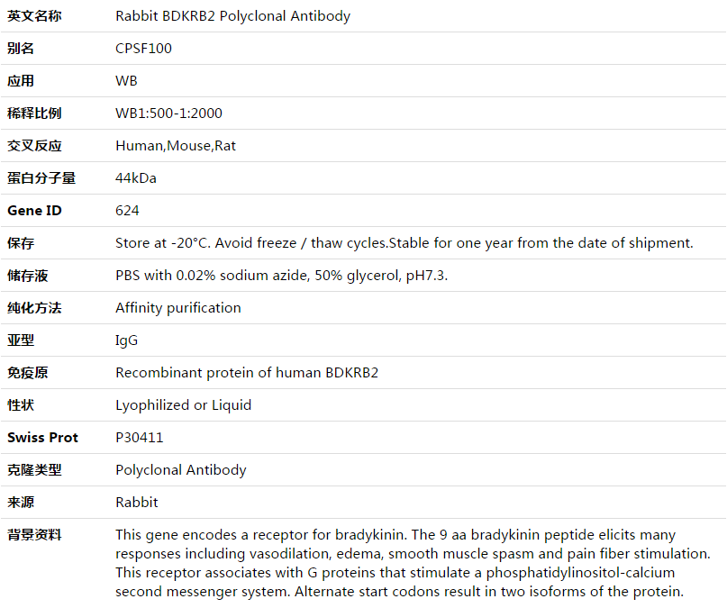 BDKRB2 Antibody,索莱宝,K003504P-50ul