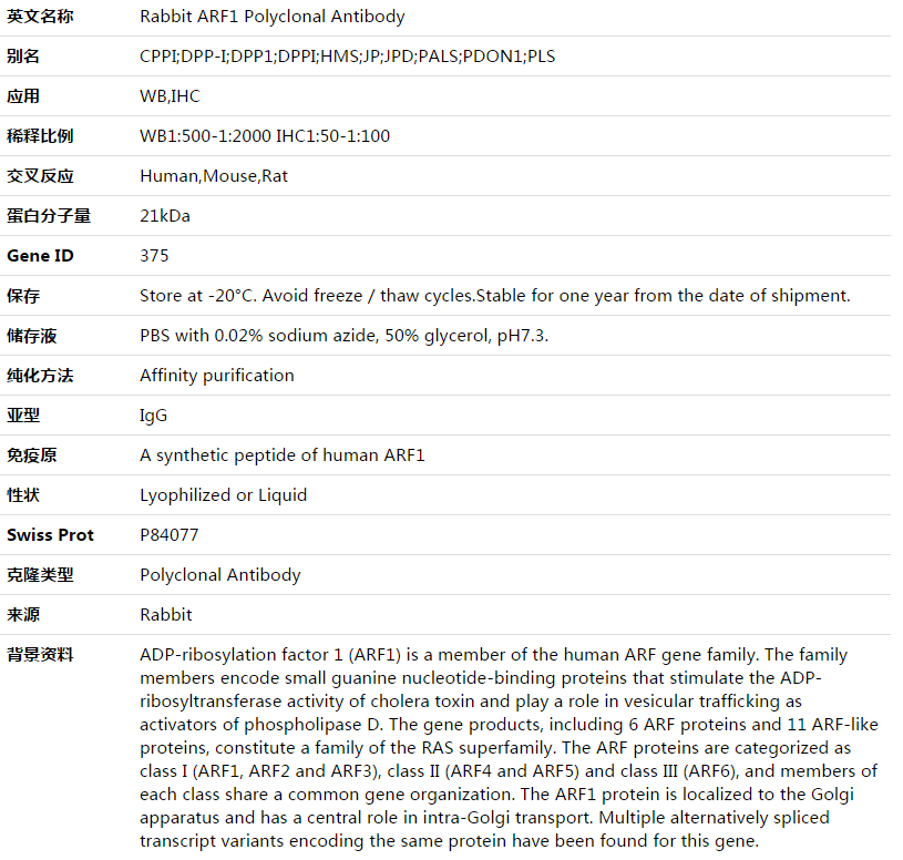 ARF1 Antibody,索莱宝,K003499P-100ul