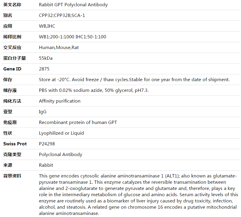 GPT Antibody,索莱宝,K003497P-100ul