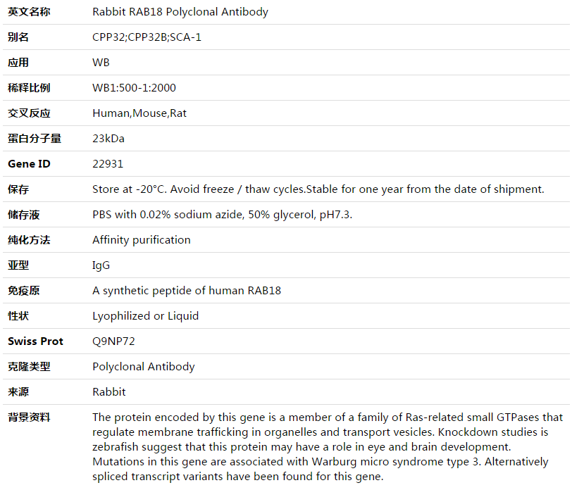 RAB18 Antibody,索莱宝,K003496P-100ul