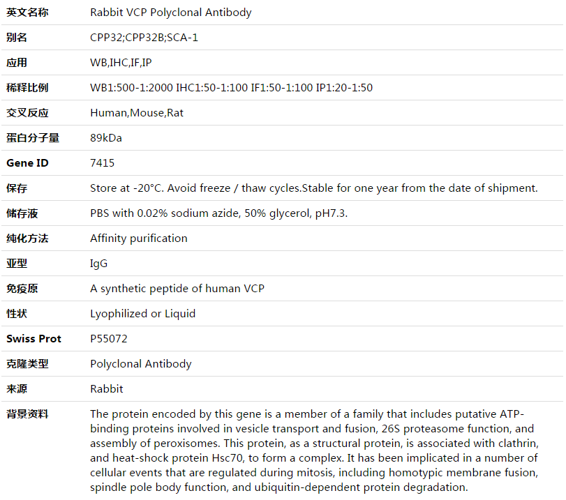 VCP Antibody,索莱宝,K003491P-50ul