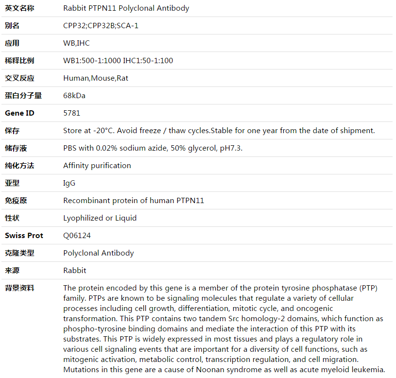 PTPN11 Antibody,索莱宝,K003490P-100ul