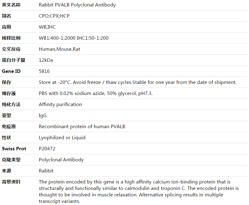 PVALB Antibody,索莱宝,K003489P-30ul