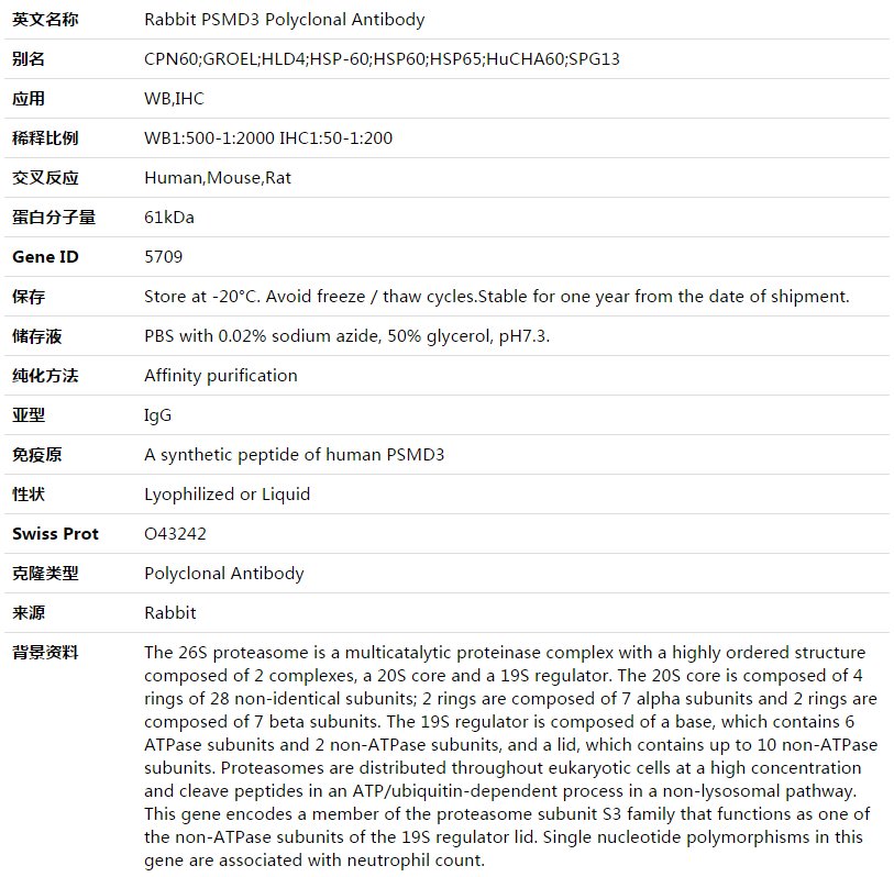 PSMD3 Antibody,索莱宝,K003488P-100ul