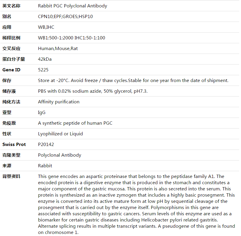 PGC Antibody,索莱宝,K003487P-100ul