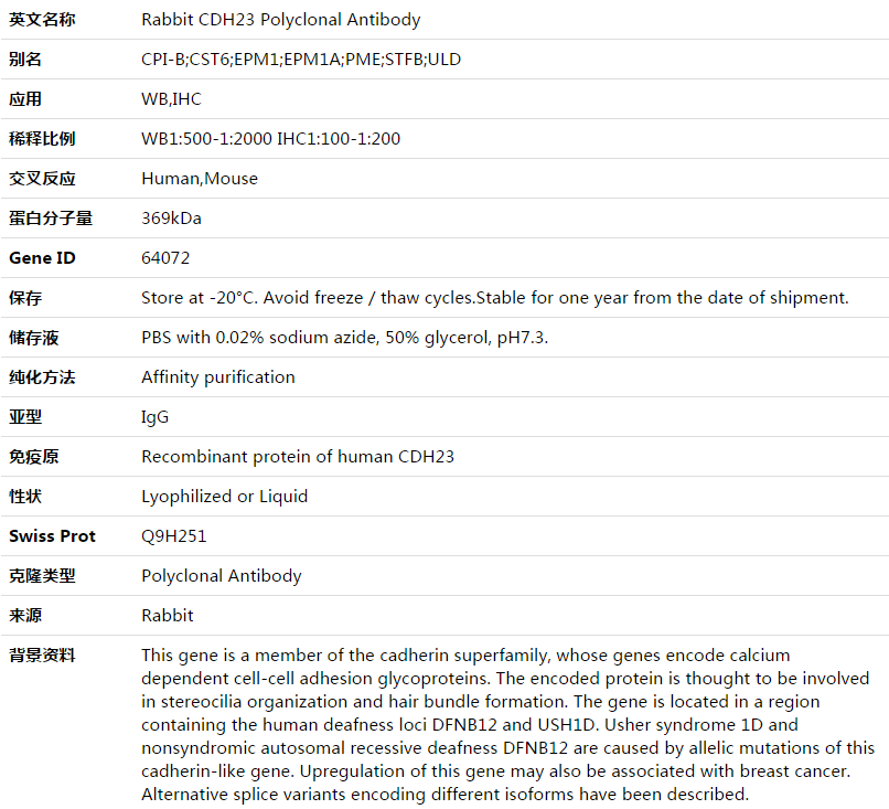 CDH23 Antibody,索莱宝,K003485P-100ul