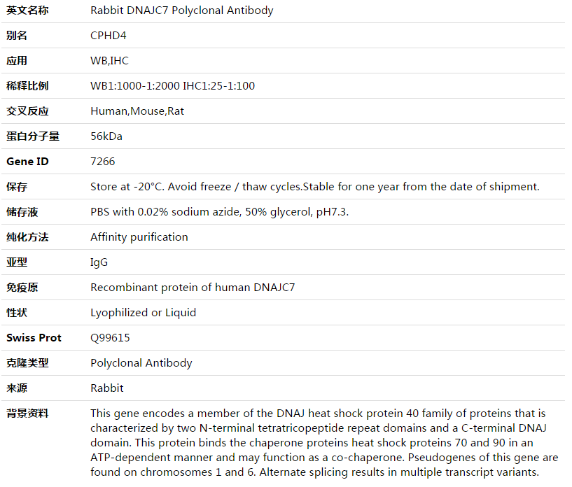 DNAJC7 Antibody,索莱宝,K003483P-100ul