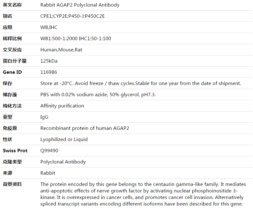AGAP2 Antibody,索莱宝,K003480P-100ul