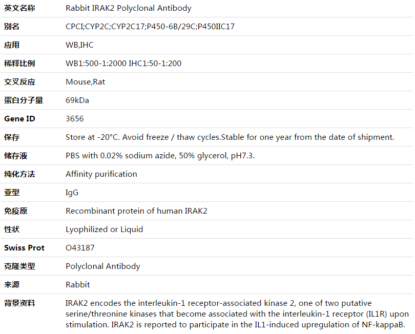 IRAK2 Antibody,索莱宝,K003479P-50ul