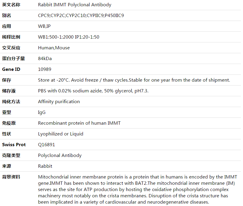 IMMT Antibody,索莱宝,K003478P-50ul