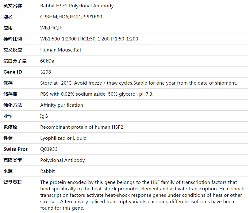 HSF2 Antibody,索莱宝,K003476P-50ul