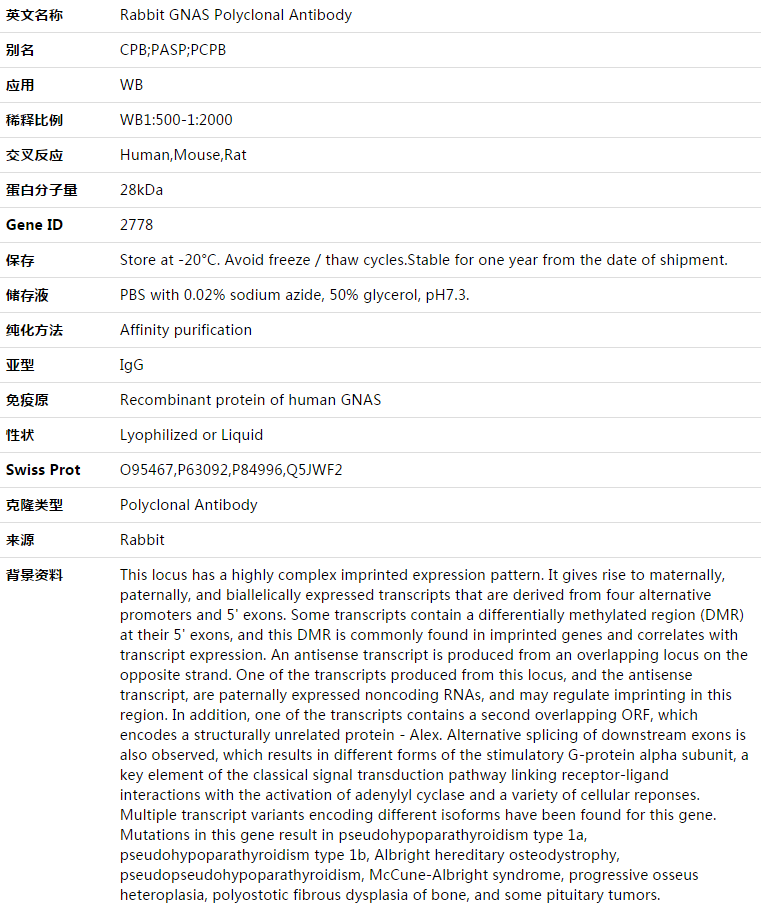 GNAS Antibody,索莱宝,K003472P-100ul