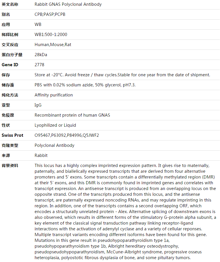 GNAS Antibody,索莱宝,K003472P-50ul