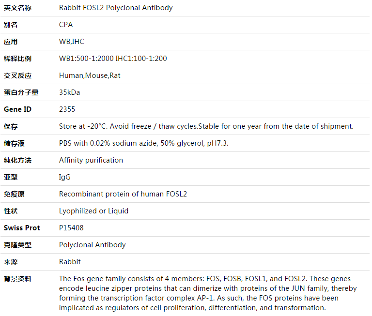 FOSL2 Antibody,索莱宝,K003470P-50ul