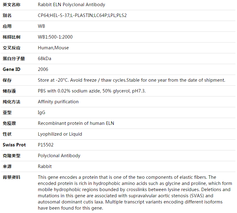 ELN Antibody,索莱宝,K003469P-100ul