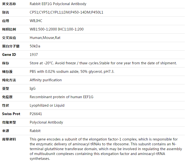 EEF1G Antibody,索莱宝,K003468P-50ul