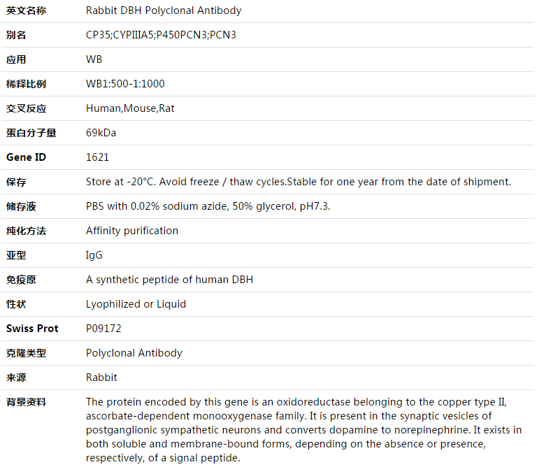 DBH Antibody,索莱宝,K003465P-50ul