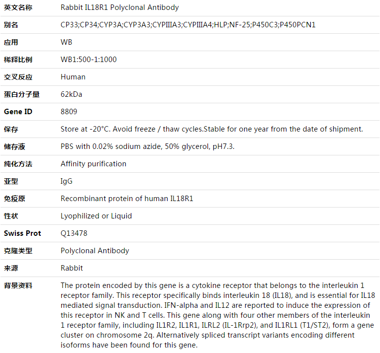 IL18R1 Antibody,索莱宝,K003464P-50ul