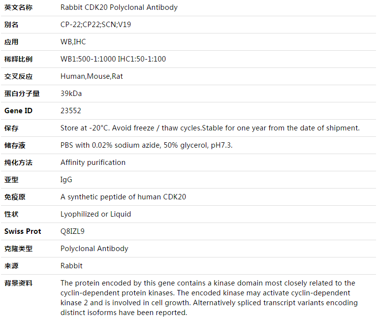 CDK20 Antibody,索莱宝,K003461P-100ul