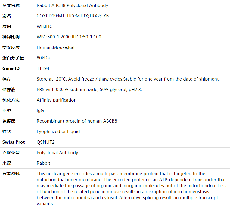 ABCB8 Antibody,索莱宝,K003456P-50ul