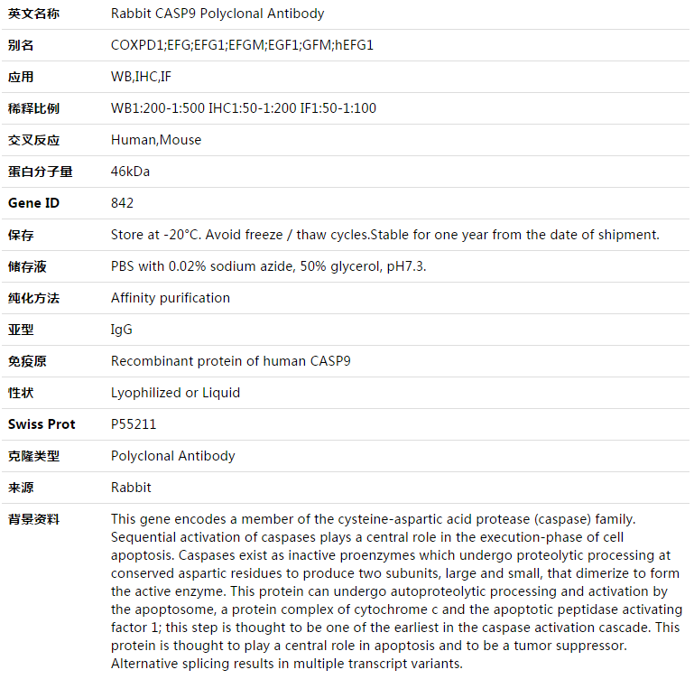 CASP9 Antibody,索莱宝,K003453P-50ul