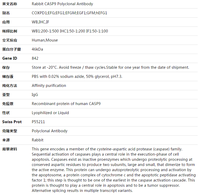 CASP9 Antibody,索莱宝,K003453P-100ul