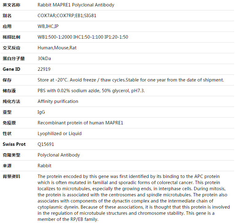 MAPRE1 Antibody,索莱宝,K003451P-100ul